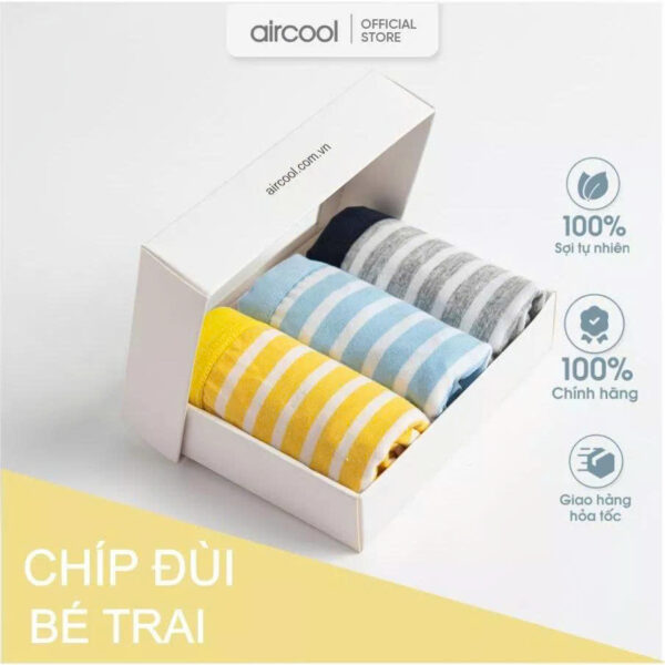 Set 3 quần chíp đùi bé trai AIRCOOL chất liệu cotton cao cấp mềm mát kháng khuẩn an toàn tốt cho Bé-QLBT05